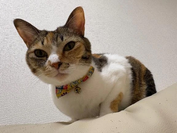 おはよう♡