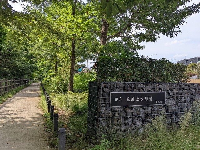 緑多き場所を歩く
