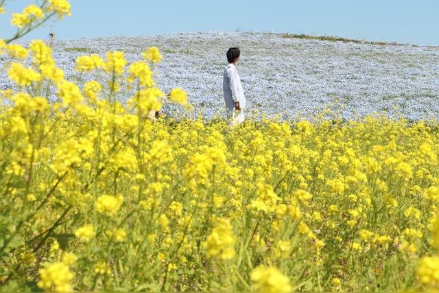 6月スケジュール