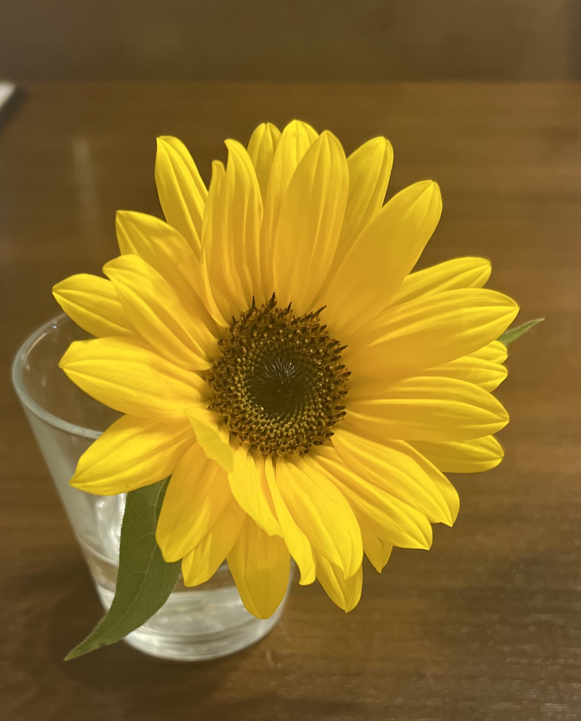 7月☀️