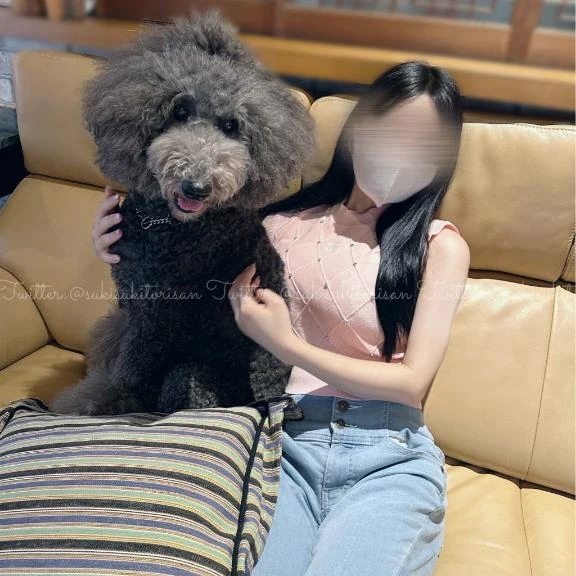 【次回𝟐月前半お約束解禁日のお知らせ】