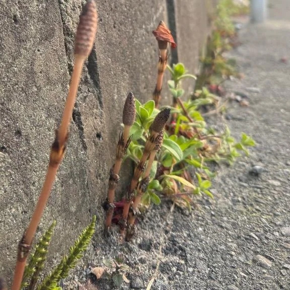 💜おはようございます