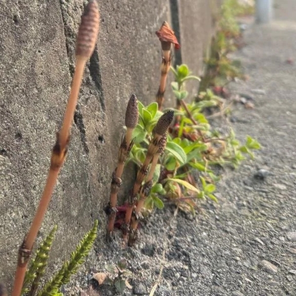 💜おはようございます