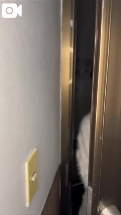 💜お兄さんごめんなさい🙇‍♀️