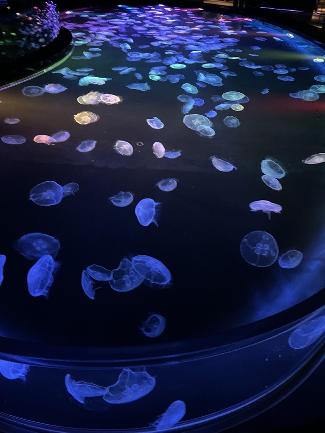 水族館
