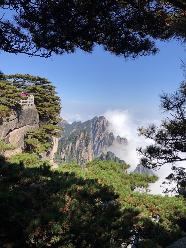 いつもの検査