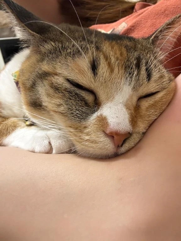 スヤスヤ♡