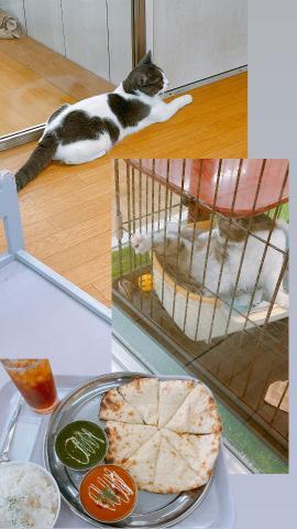 【ホームセンター】
