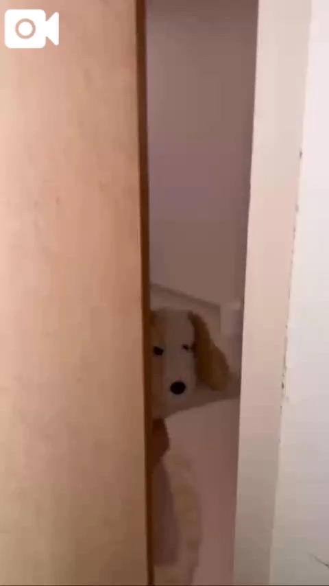 30分で間に合うかな？