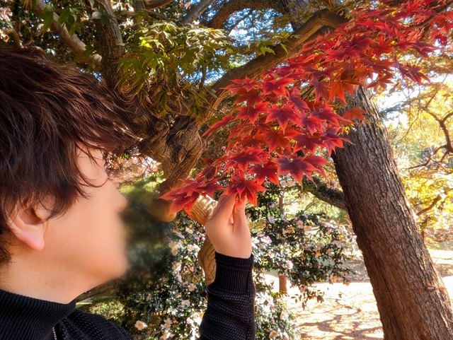 11月もあと少し