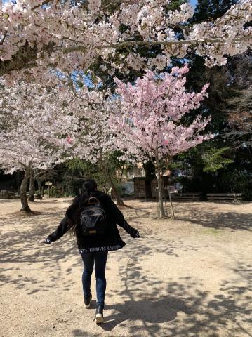 [お題]from:妄想のみで生きてゆくさん