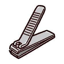 爪切りに大事なのは…