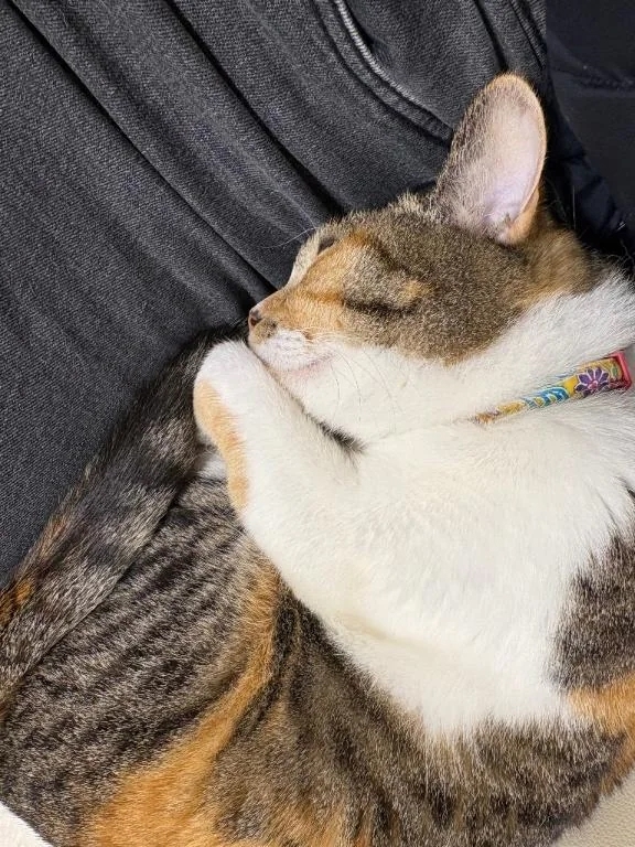 寄り添い先生♡