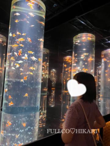 ?◯◯◯も発見?