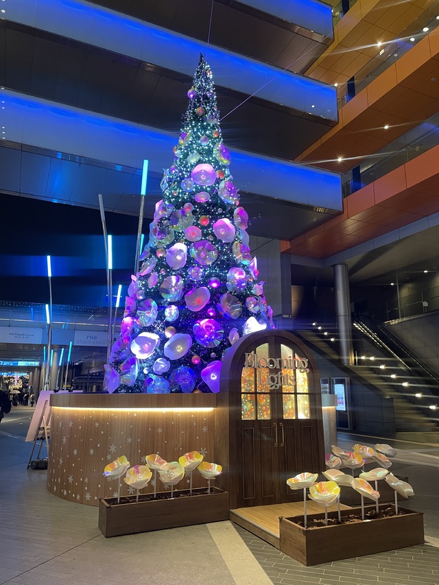 11月もありがとうございました✨