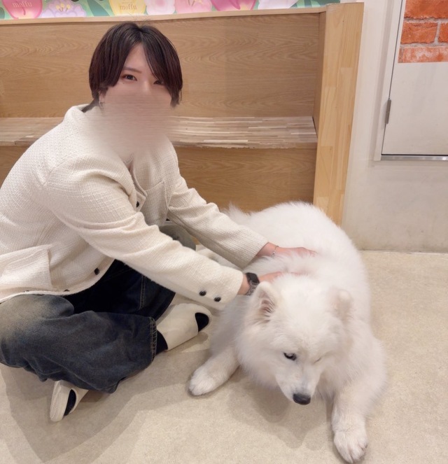 サモエドさん