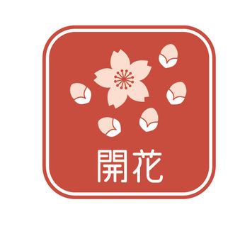 桜の開花～ぱっか～ん👐