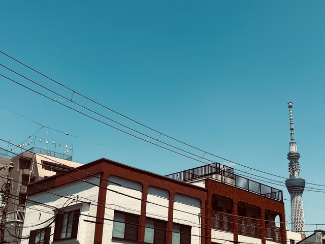 大会