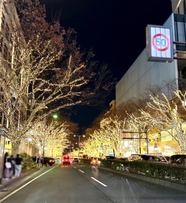 キラキラの街✨