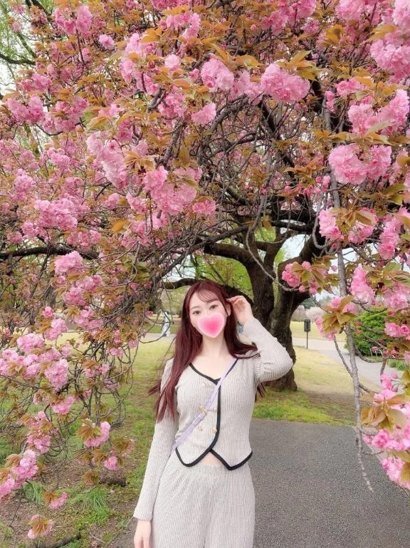 桜の季節🌸