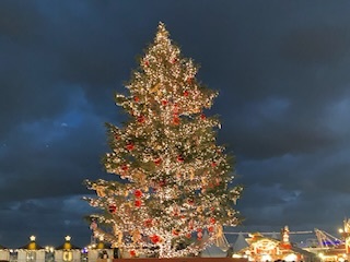 🎄✨🌟