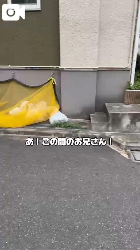 今日は何かいますか？