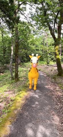 ?山の中のキリン?