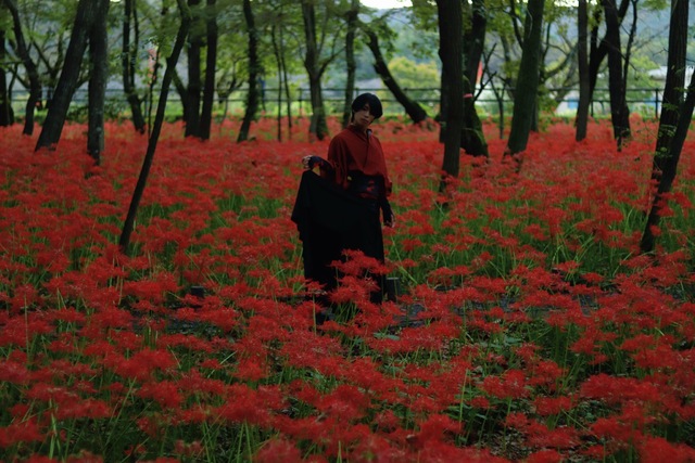 パワーアップしました！