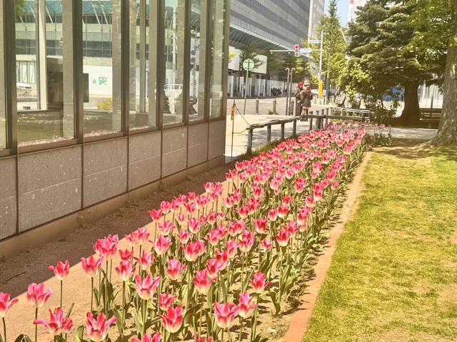 🌺ご予約🌺