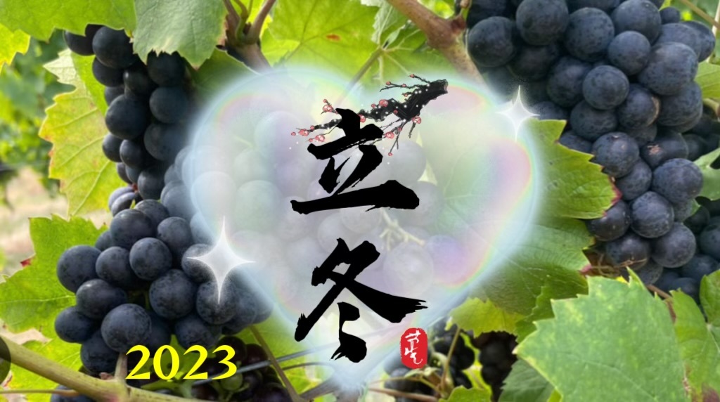 ～検温～～スケジュール～