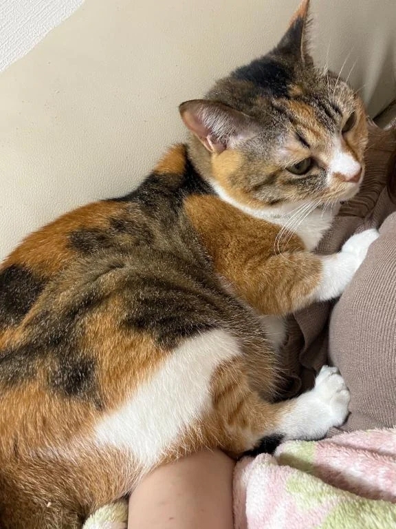 どうしても上がいい♡