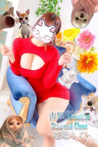 夢っ！