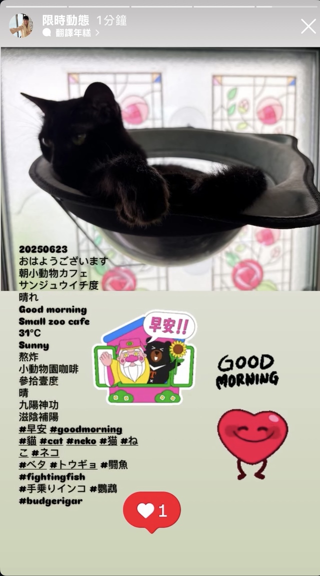 早安☀️