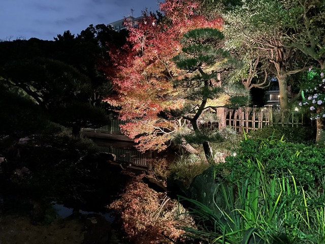 夜景デート