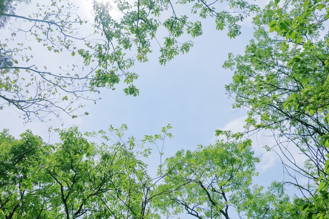 📚 人生は思い通りではなく、やった通りにしかならない📚