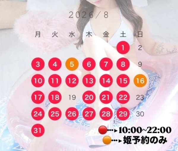 🩵8月のスケジュール🗓