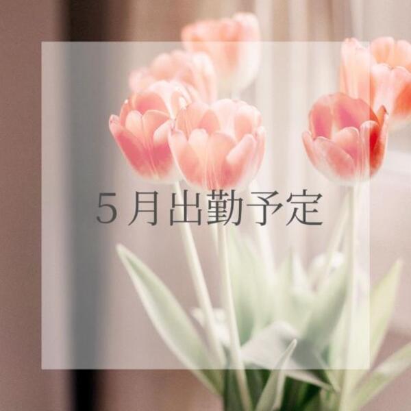 🤍5月出勤予定🤍