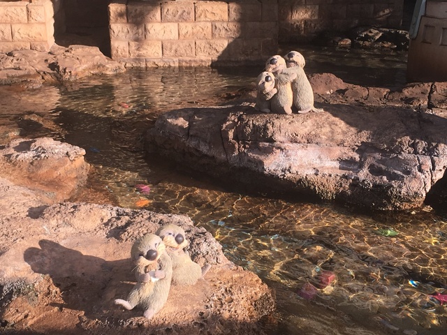 多分向いてない💦