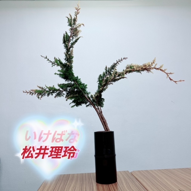 ～華道の名前「松井 理玲（まつい りれい）」～