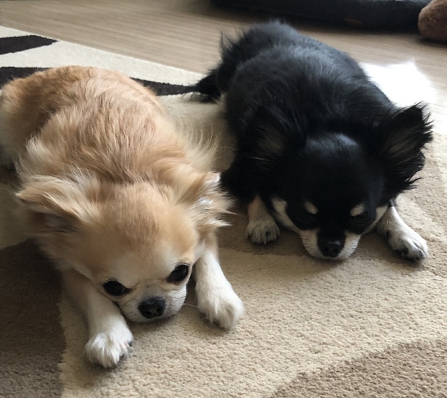 おはようございます☁️