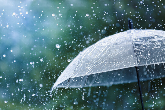雨模様が続く中で！