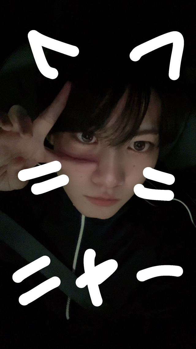 ぼくは犬派です