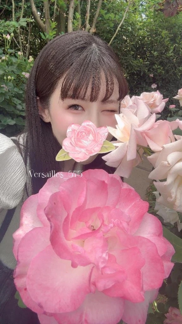 薔薇の庭園に誘われて...🌹