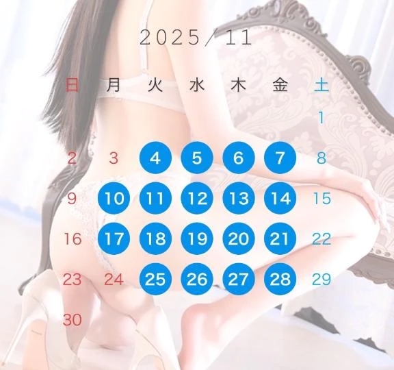 11月の予定✨
