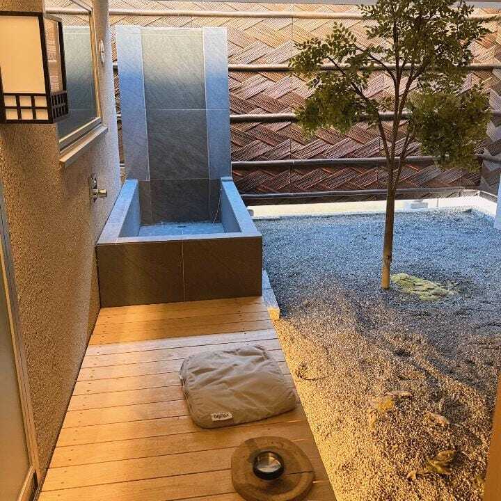 ネコちゃん整う