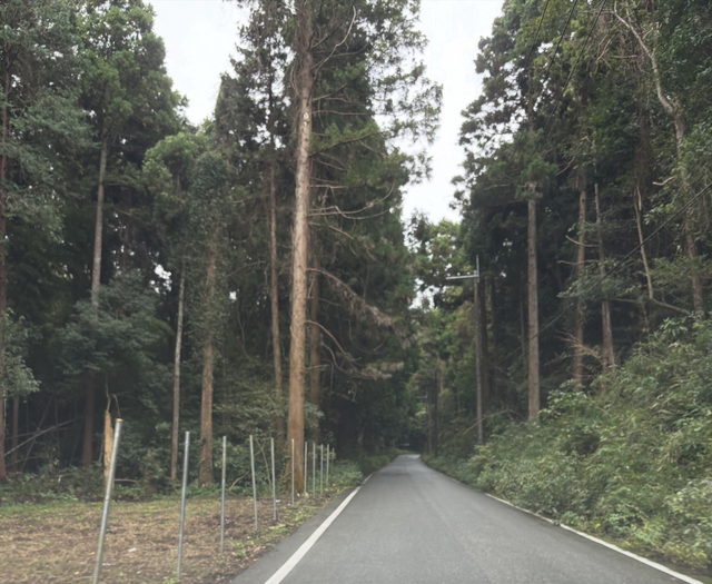 森林浴