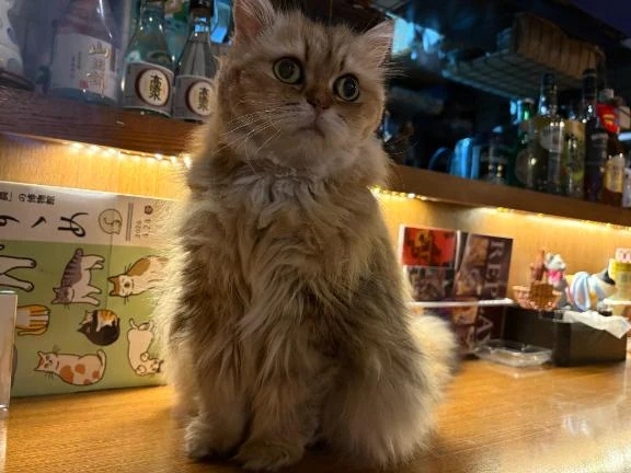 念願叶いました♡