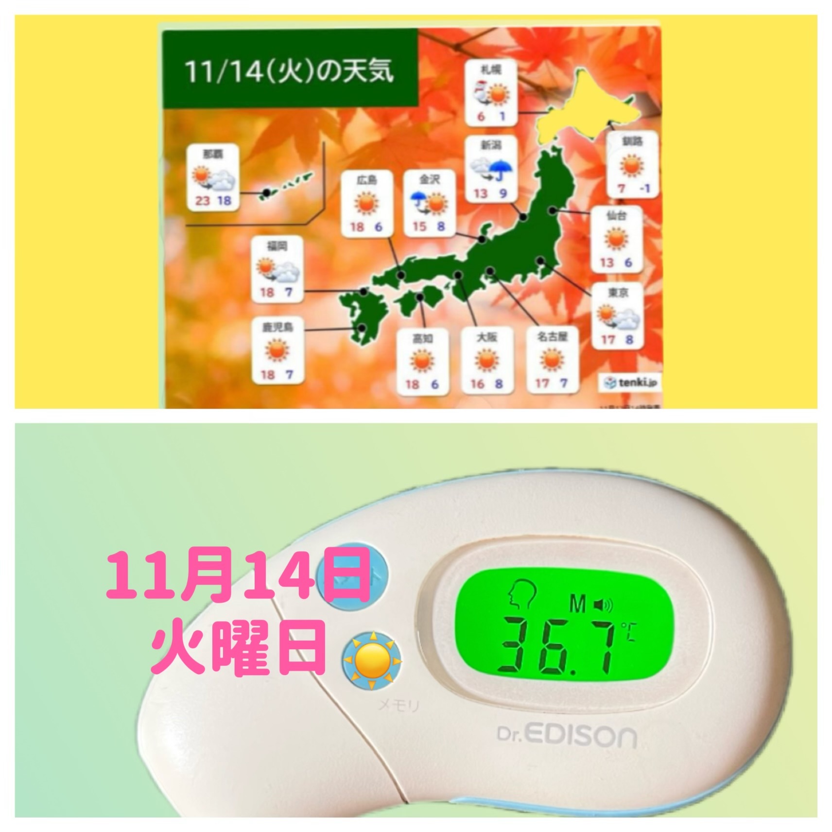～検温～～スケジュール～「昨日・三年ぶり木枯し１号」