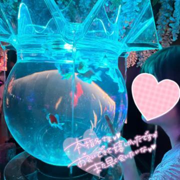 ?14日お礼?仲良しウチウチ?