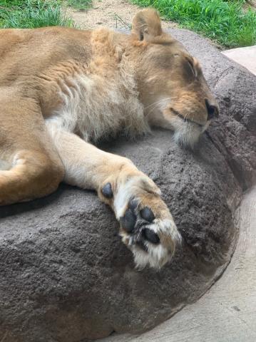 新世界散策と神様2神目。